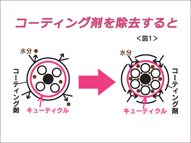 コーティング除去